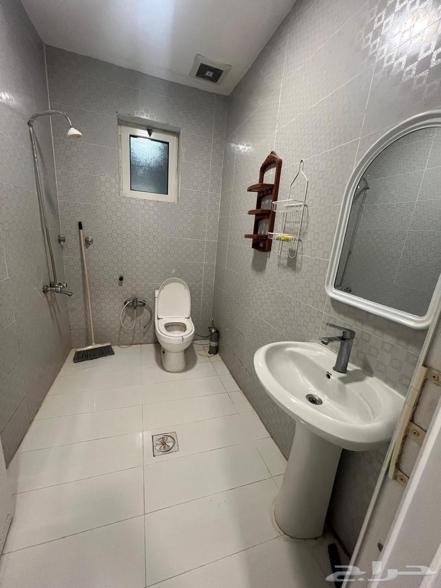 للإيجار شقه غرفه وصالة مفروشه بالهفوف64534292412289113