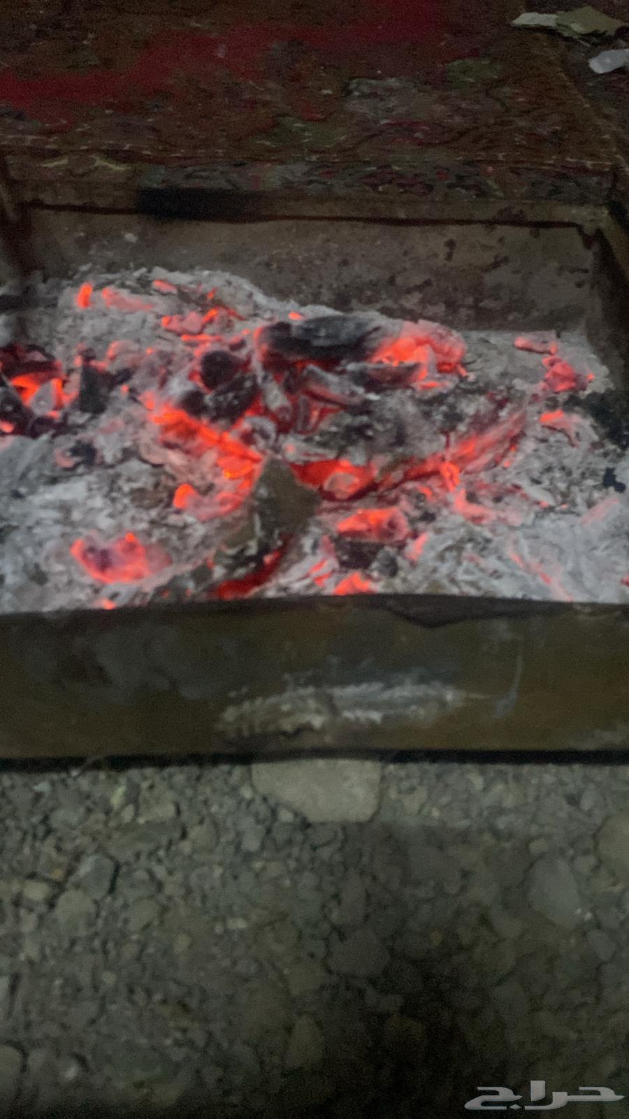 Available imported charcoal, type Samr, delivery available64538889524481112