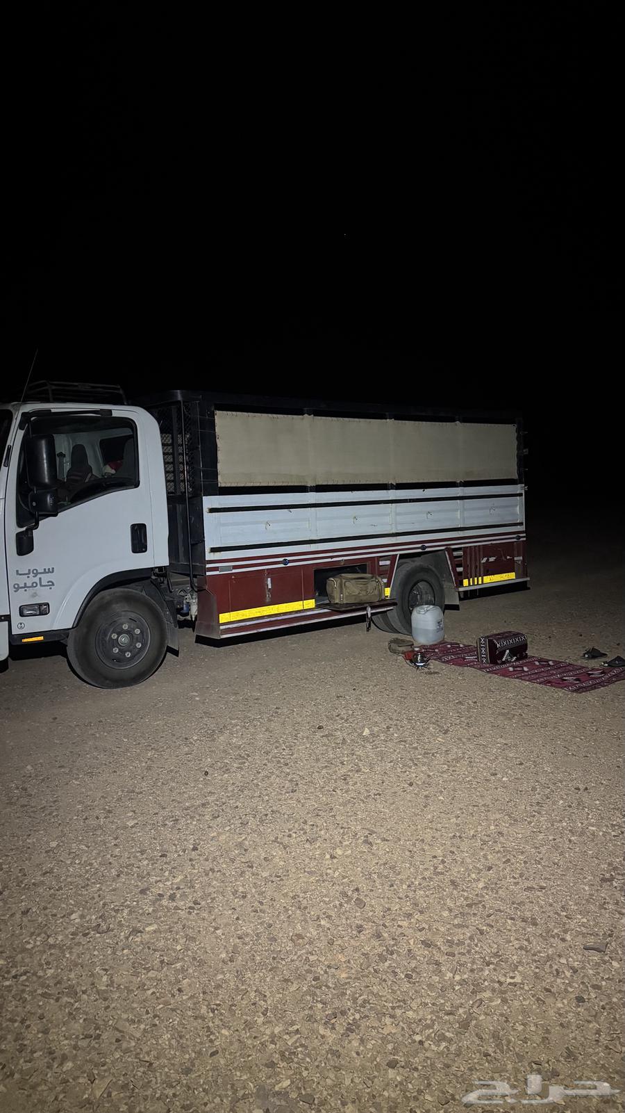 دينه لتوصيل المشاوير64538869367042110