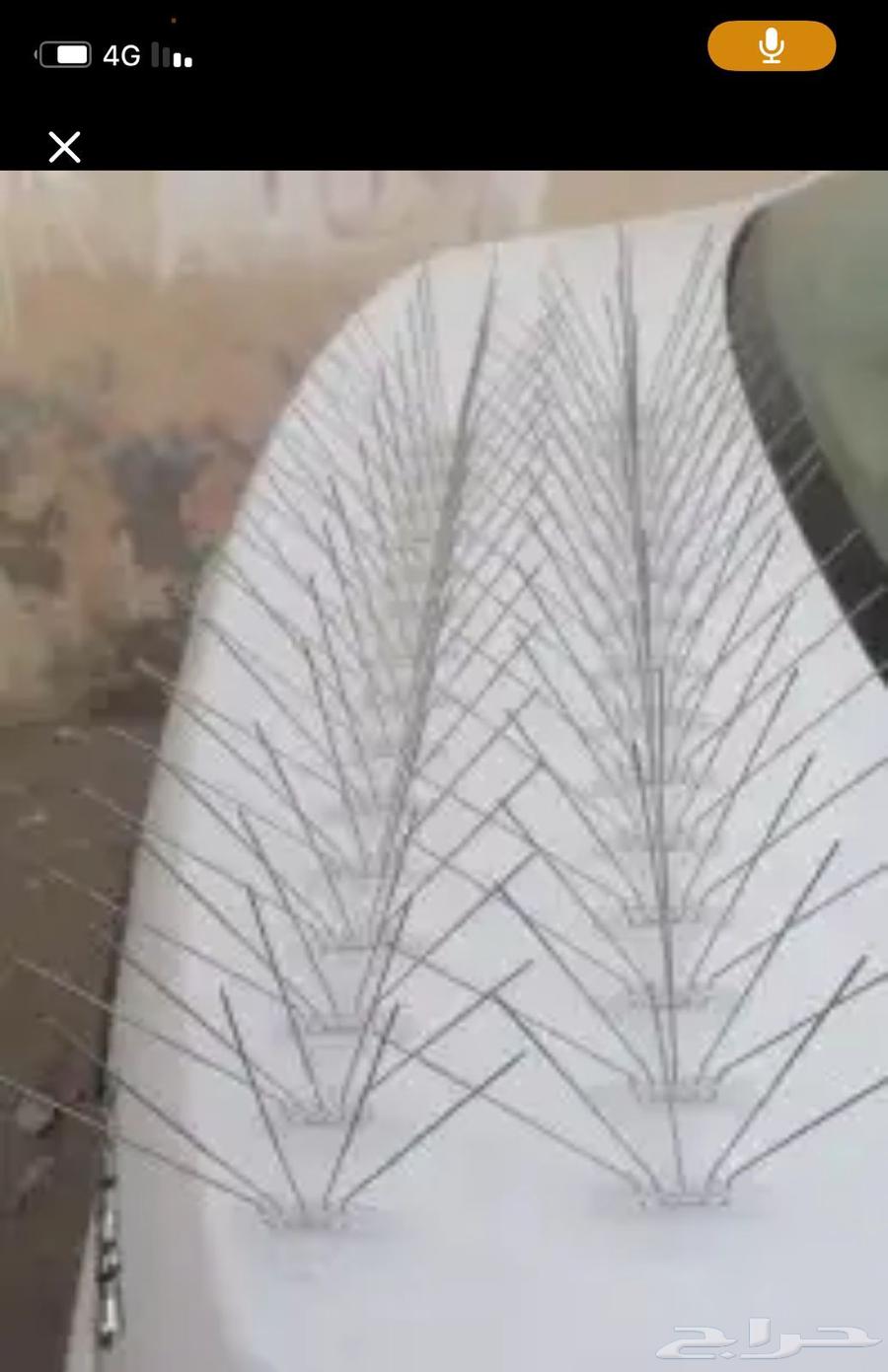 تركيب طارد الحمام تركيب شوك شبك اغطيه فايبر64545554923395111