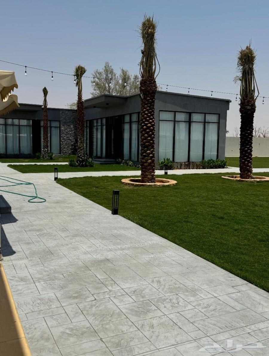 Colored STAMP Concert concrete printed floor casting64538848610178113