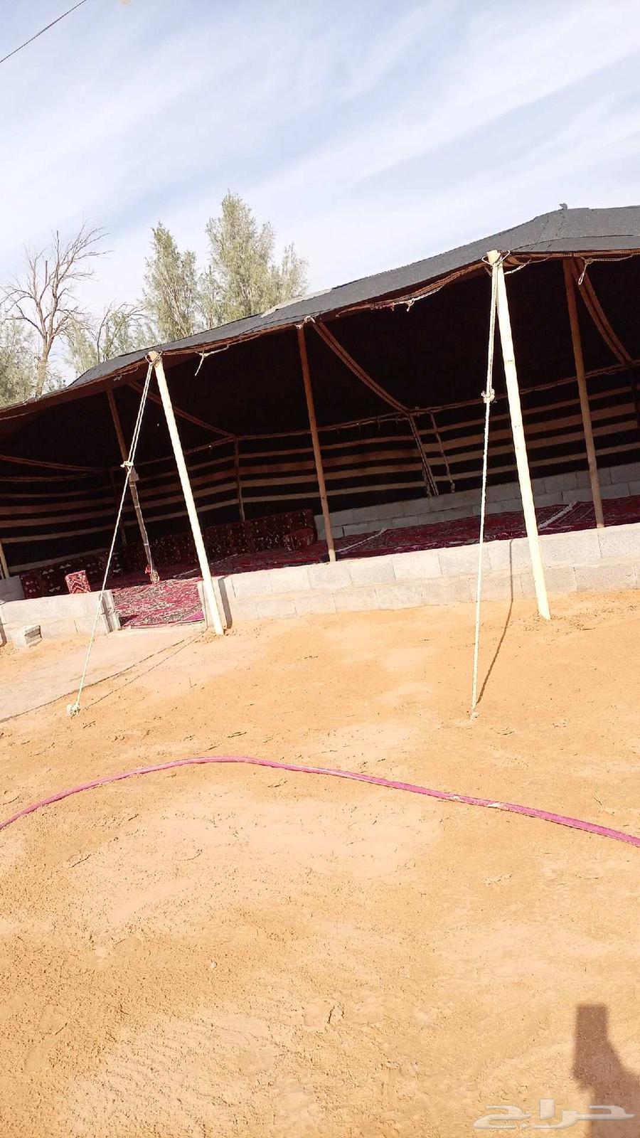 تركيب خيام وبيوت الشعر بريده القصيم64538816818819110