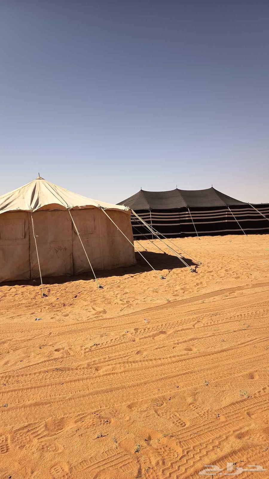 أبو عبيد طباخ متنقل64538659366785110