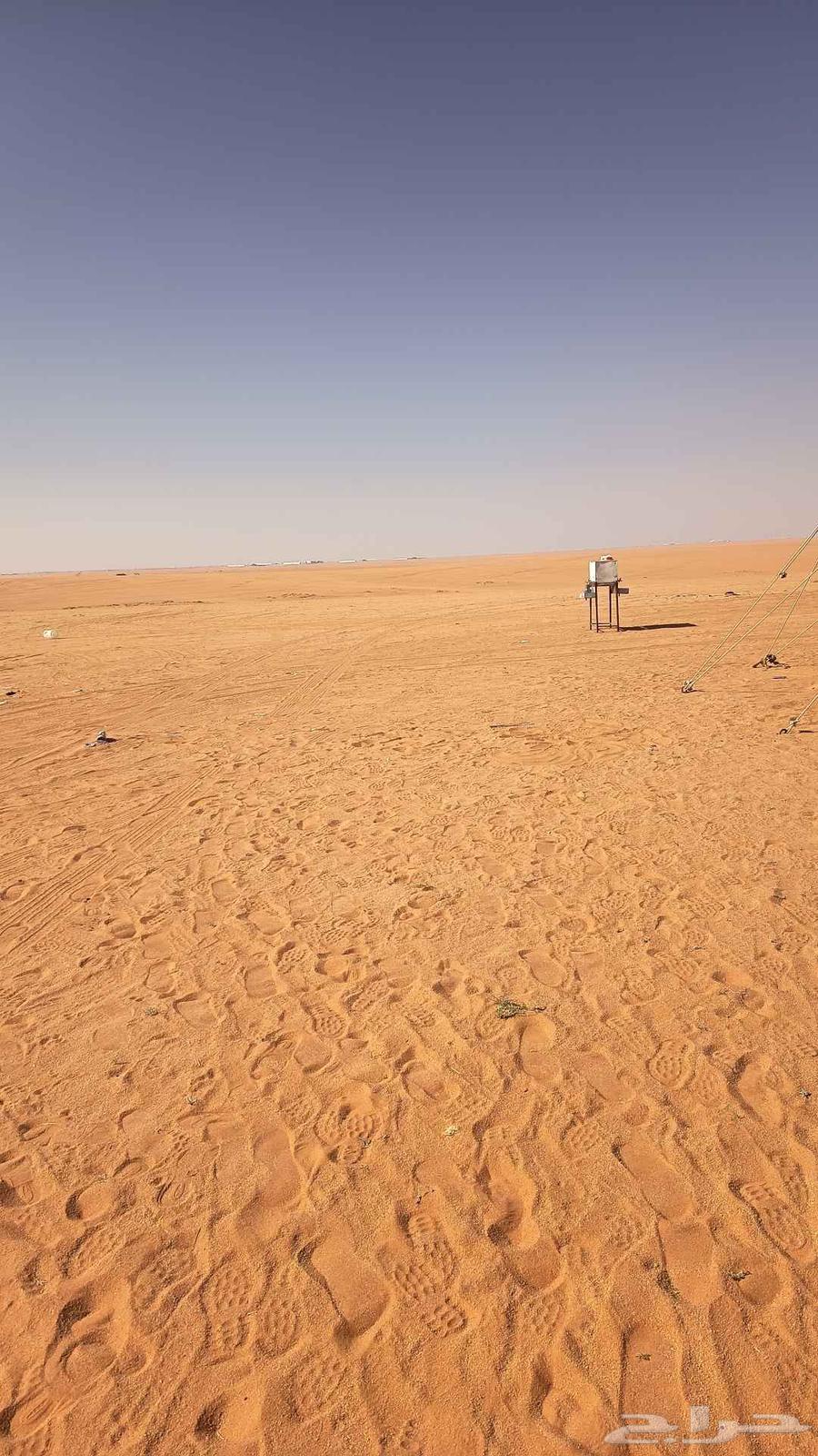 أبو عبيد طباخ متنقل64538659366785111