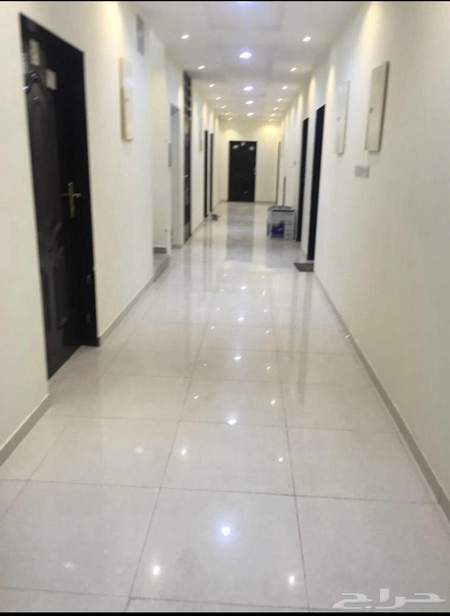 شقق عزاب للإيجار بمدخل لبن جوار نادي الرياض شارع وعله64545506588675110