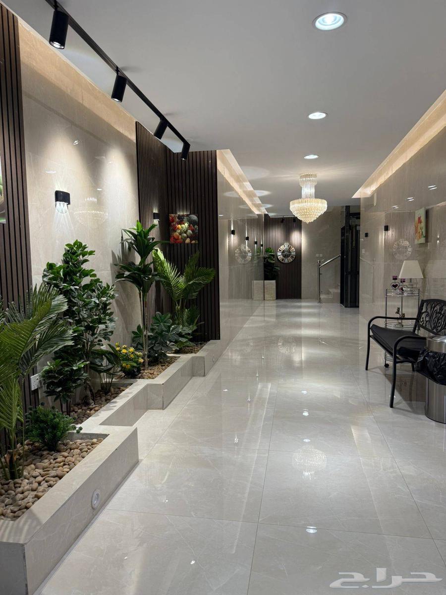 شقة للإيجار