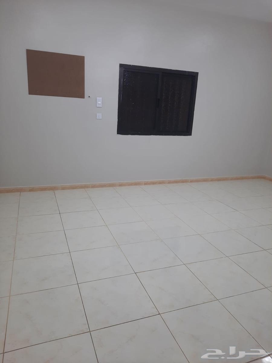 شقة للإيجار