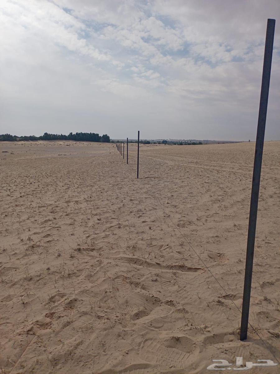 ماقول شبوك تركيب وتوريد جميع انواعها بسعار مناسبه رقم64538888355203110