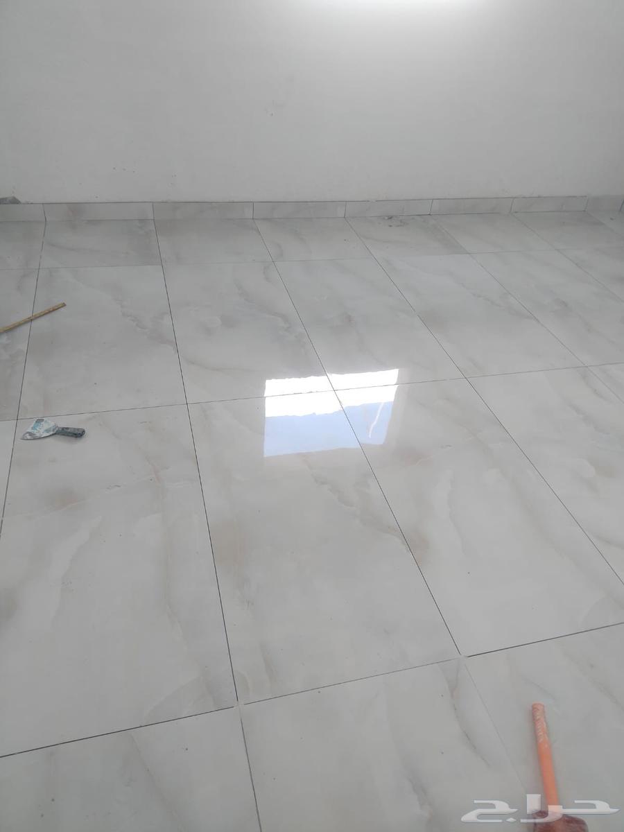 مبلط رهان تكثير64534520836609111