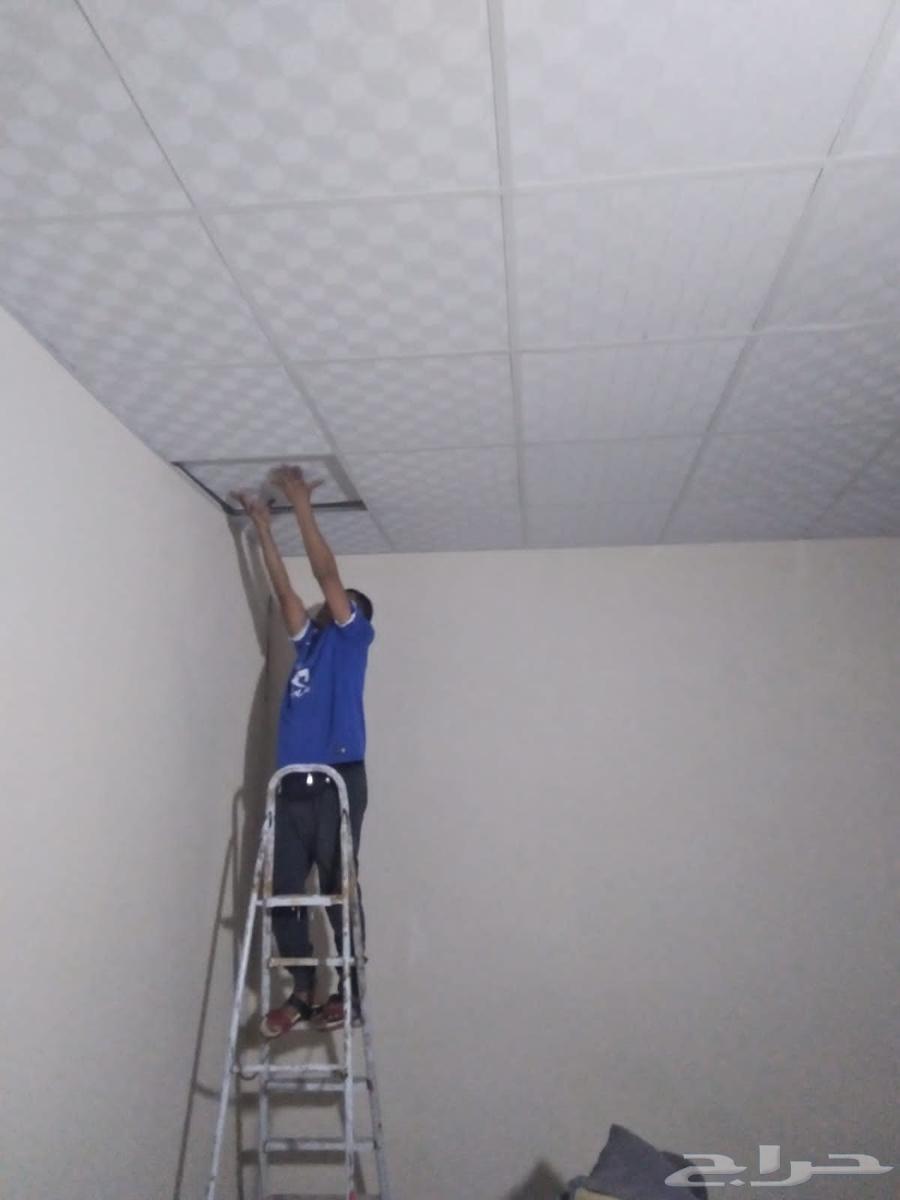 تركيب اسقف مستعار وجبسون بورد64534536300675111