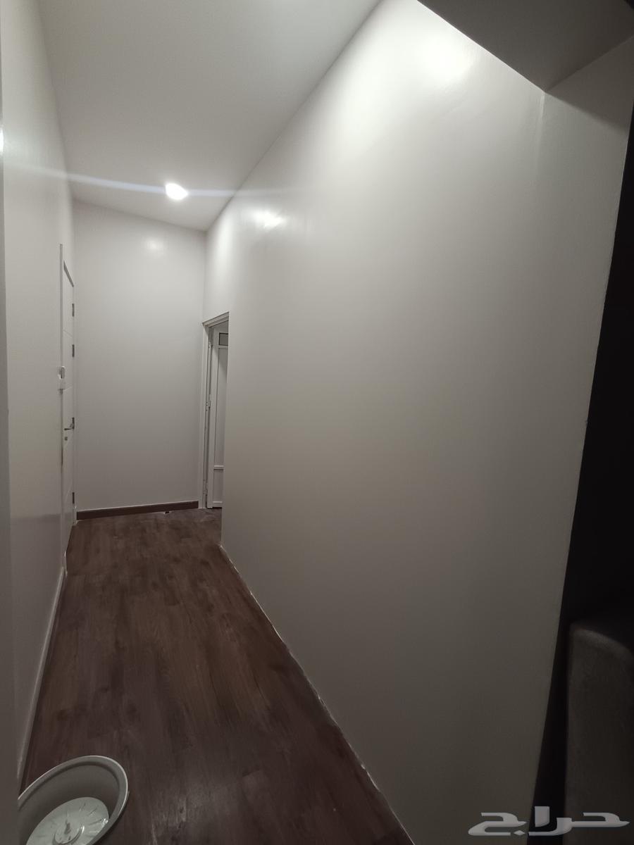 ديكورات دهانات اصباغ جبس امبورد ترميم64534519894785111