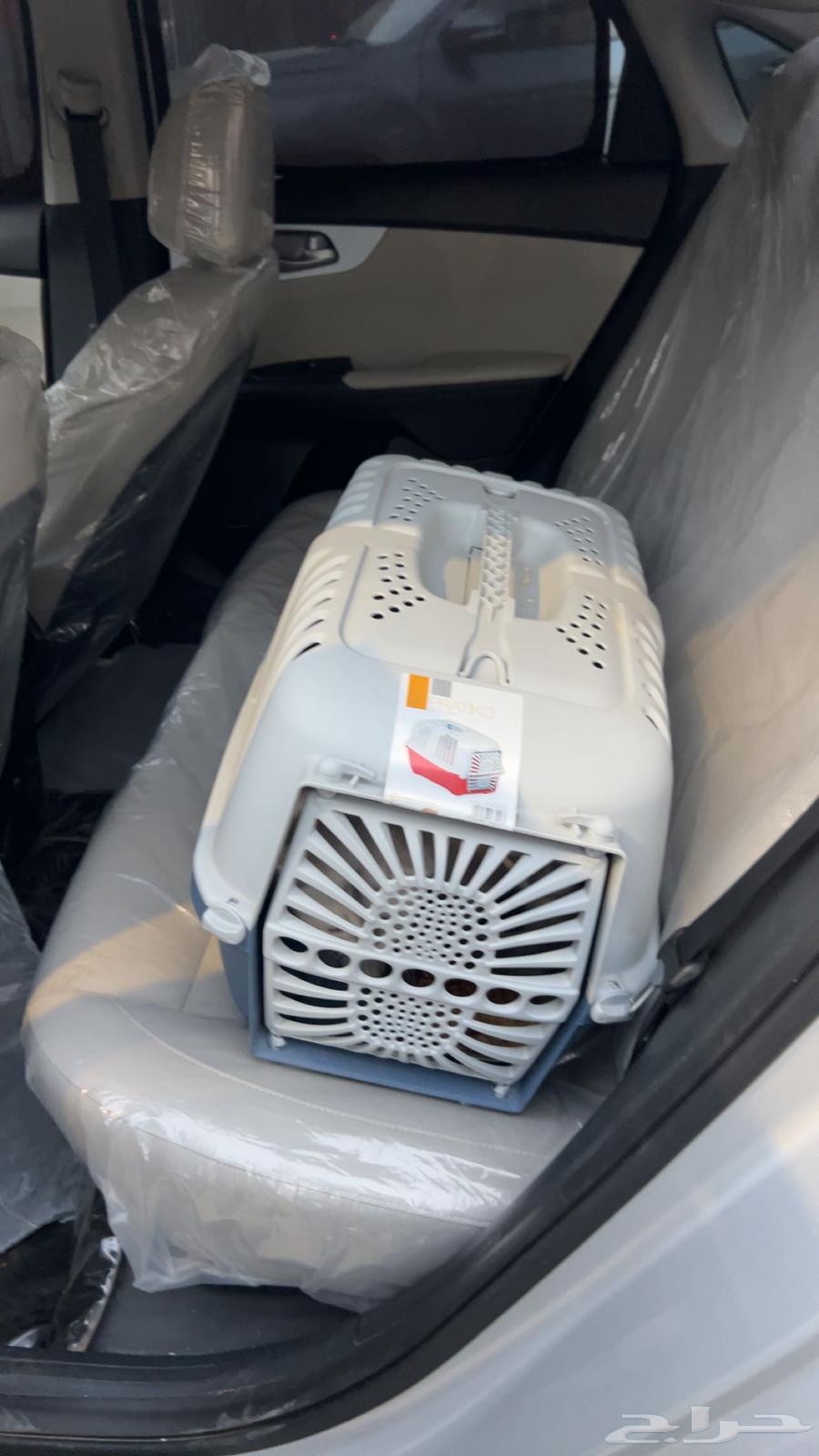 موصل حيوانات أليفة قطط طيور64538134489859114