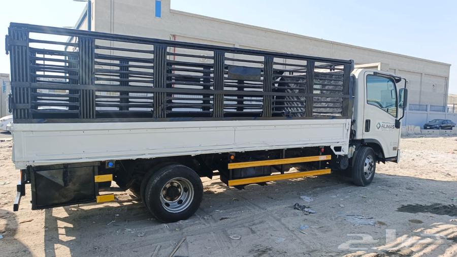 دينا شبك داخل وخارج الدمام64534521262210110