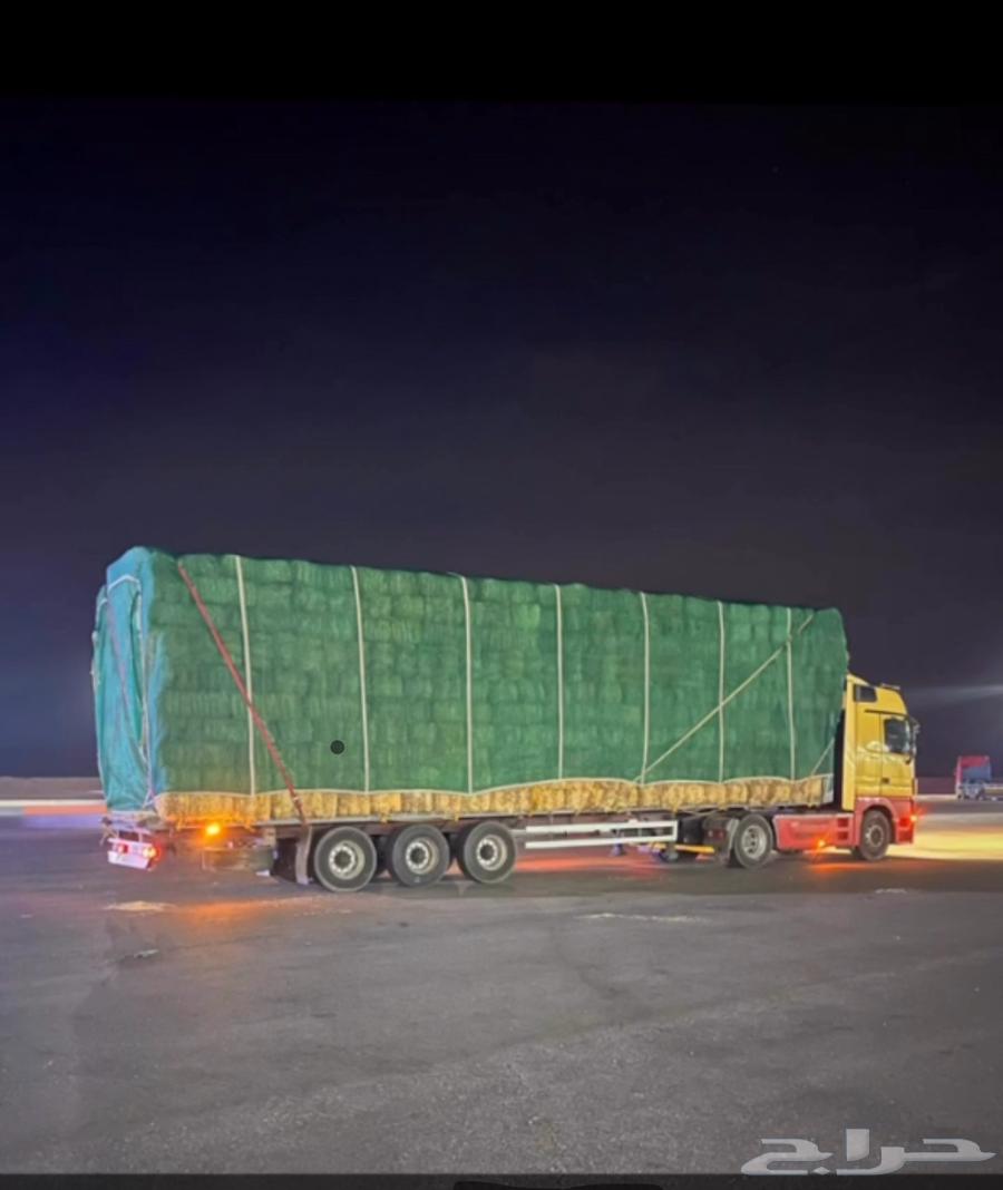 Trailer surface for delivering errands64538889028099111