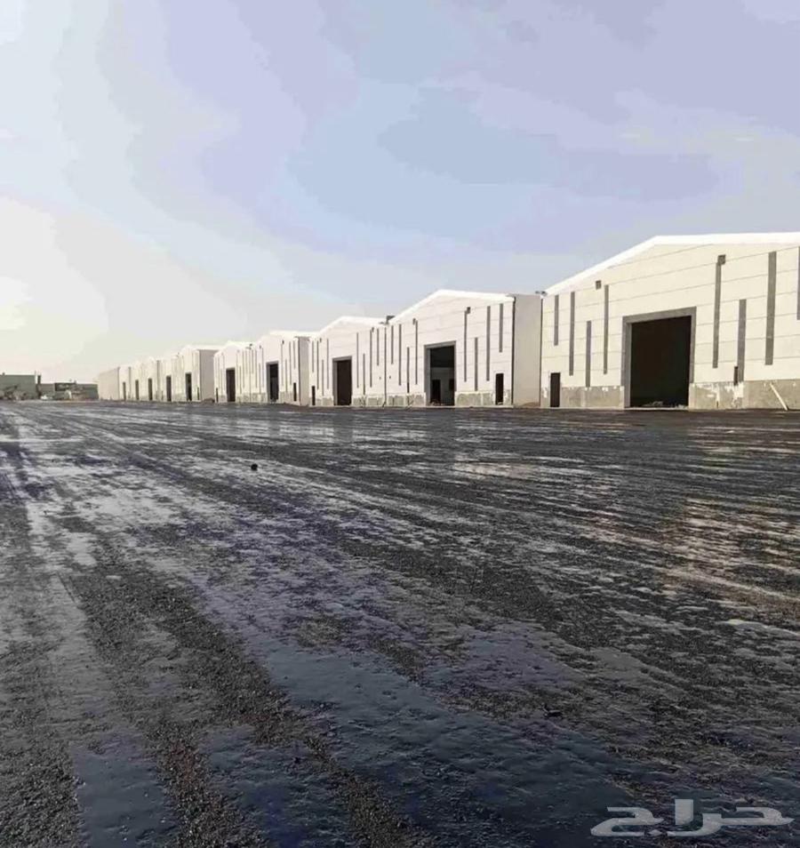 Amci wnaarci tu64538888684034113