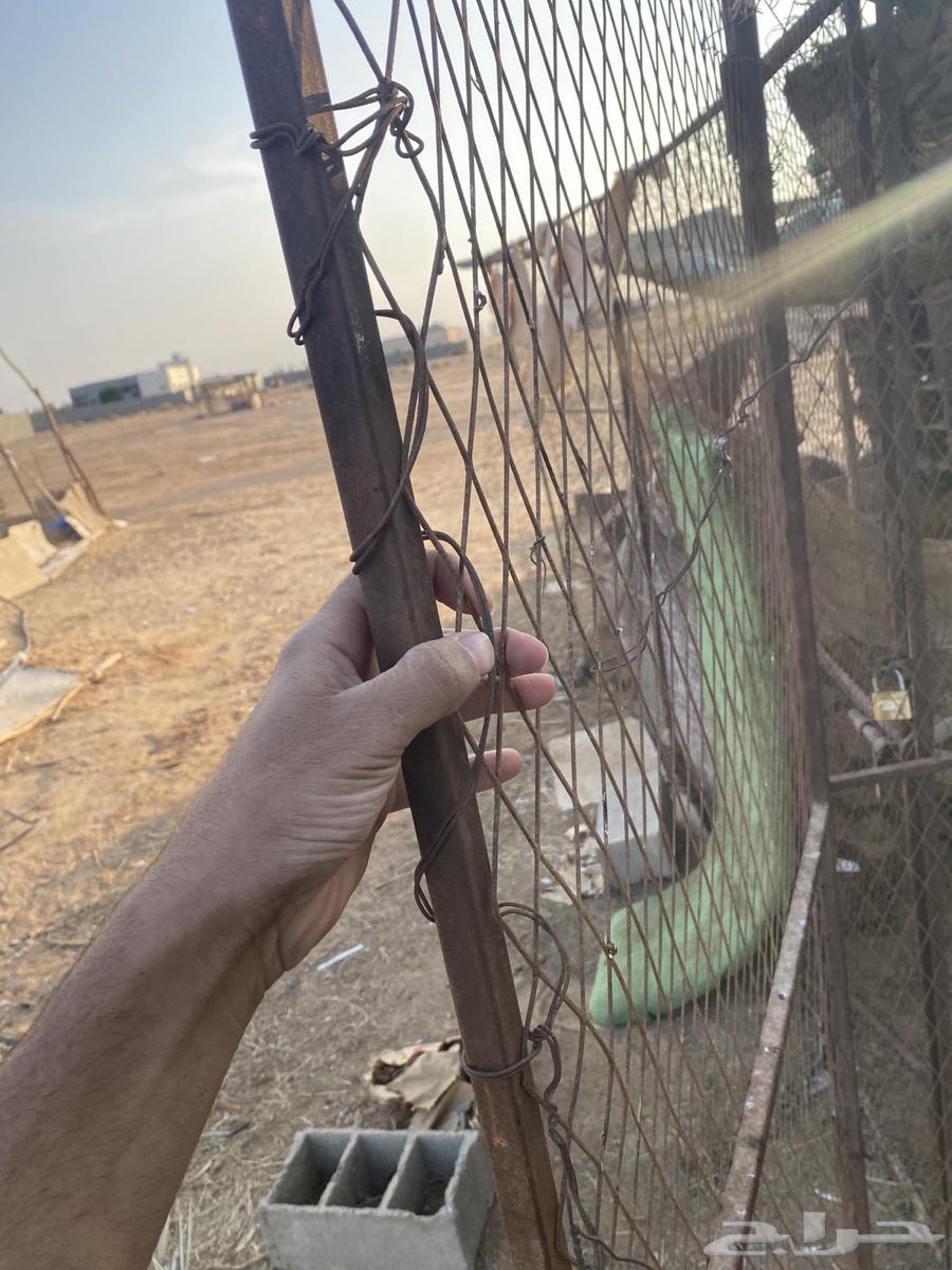 Installation, Dismantling, and Assembly64538570497922114