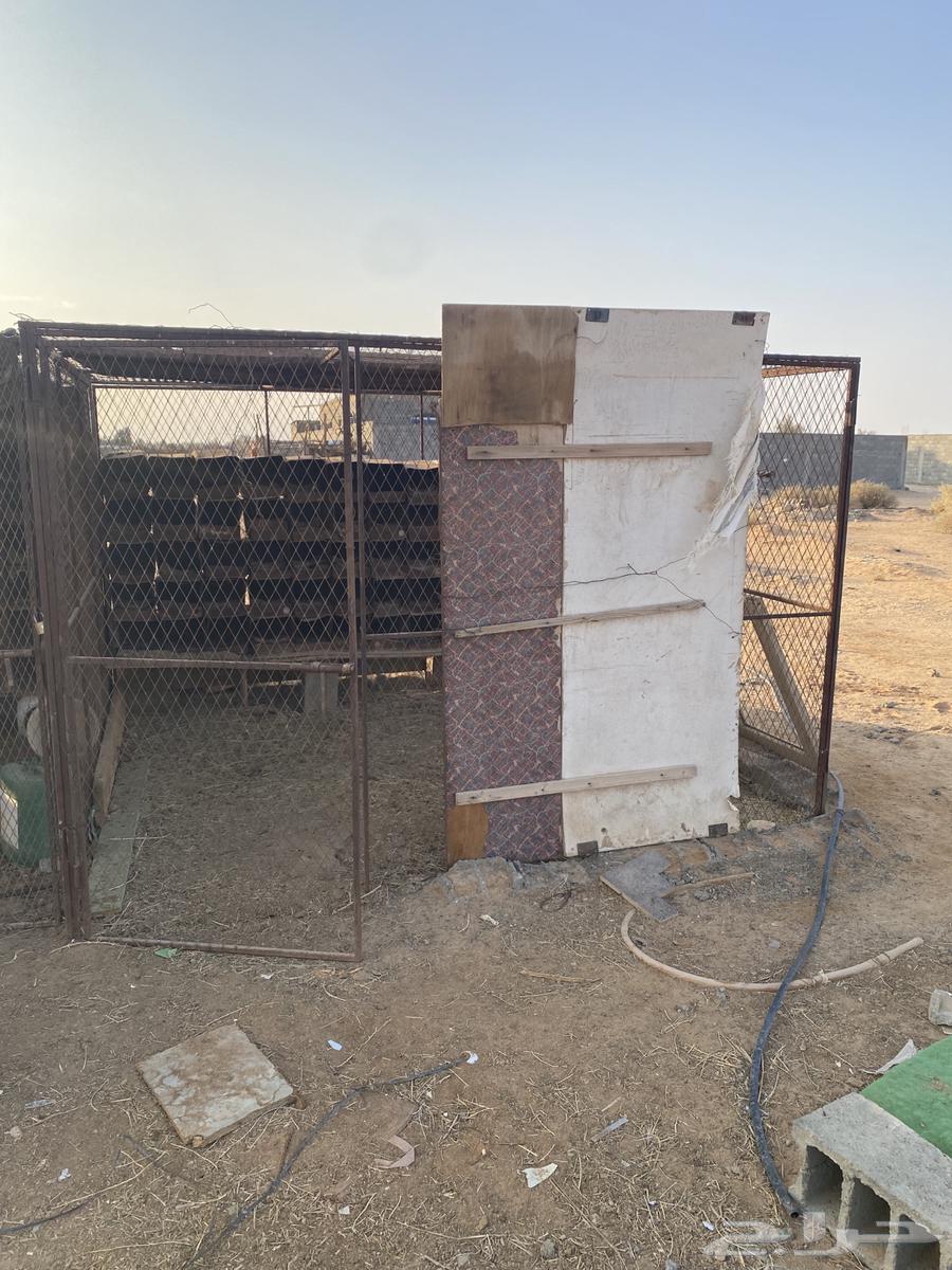 Installation, Dismantling, and Assembly64538570497922112