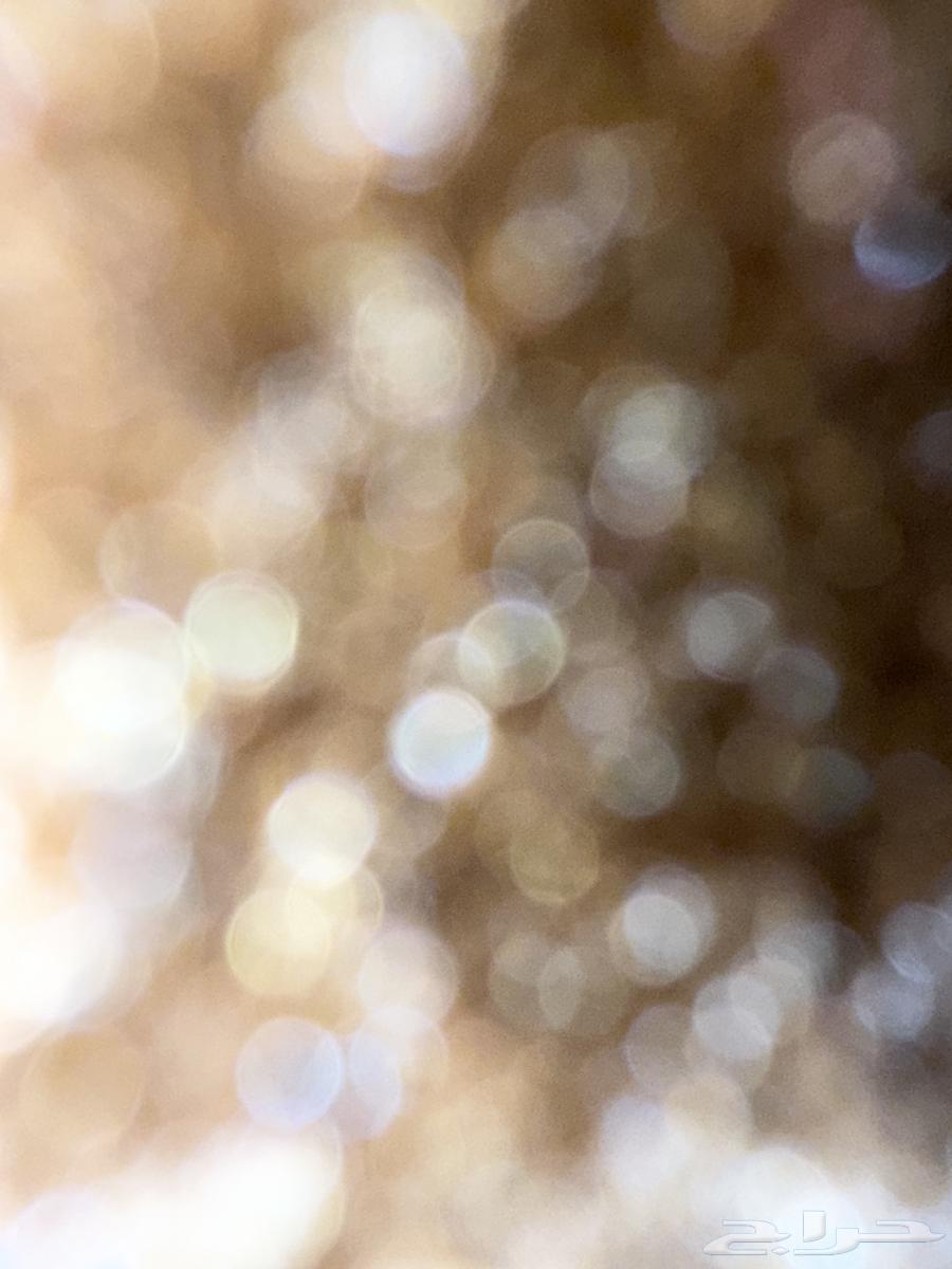 Delivery of errands64534519863553110