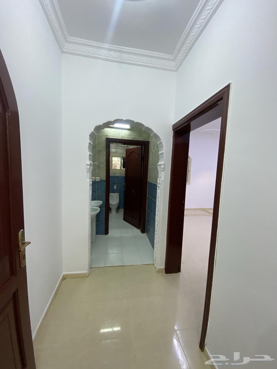 شقة للإيجار