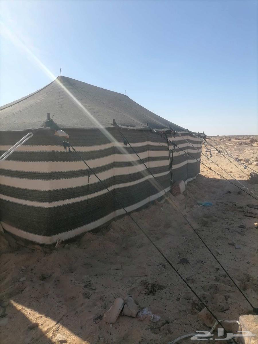 محمد لفك وتركيب وترميم جميع بيوت والخيام64538889393281113