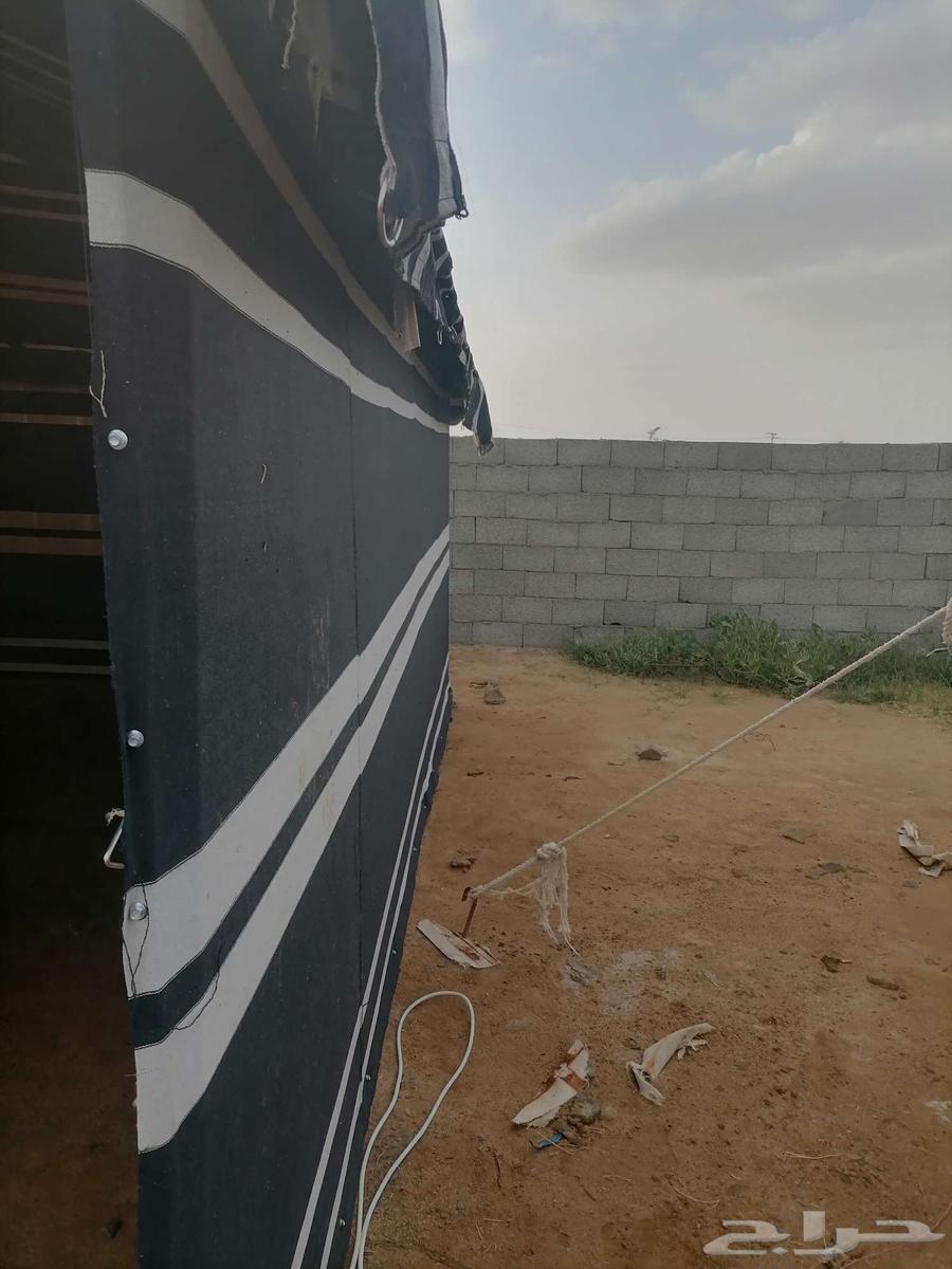 محمد لفك وتركيب وترميم جميع بيوت والخيام64538889393281114