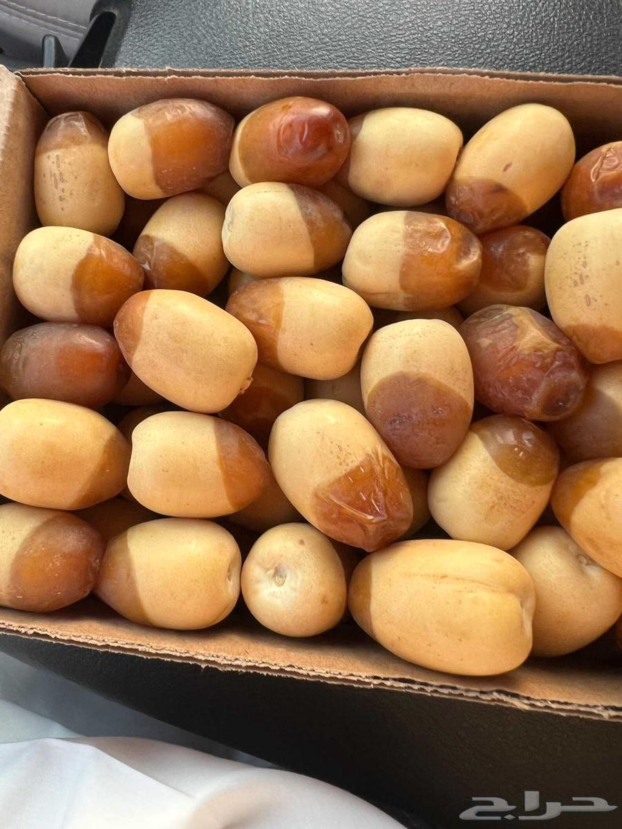 قشع واركز جميع انواع النخيل والأشجار64538794576899114