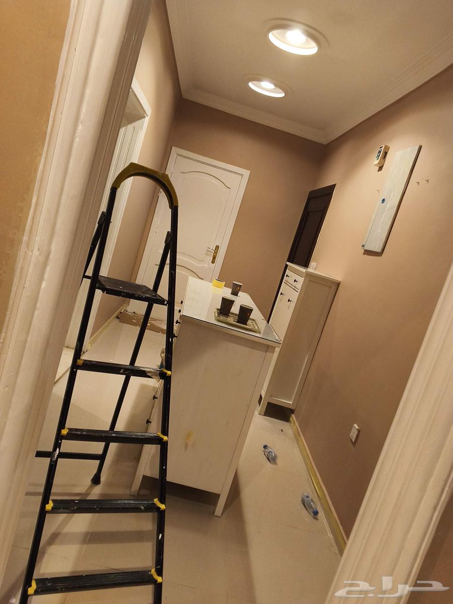 بوية دهانات ديكورات64538706993153112