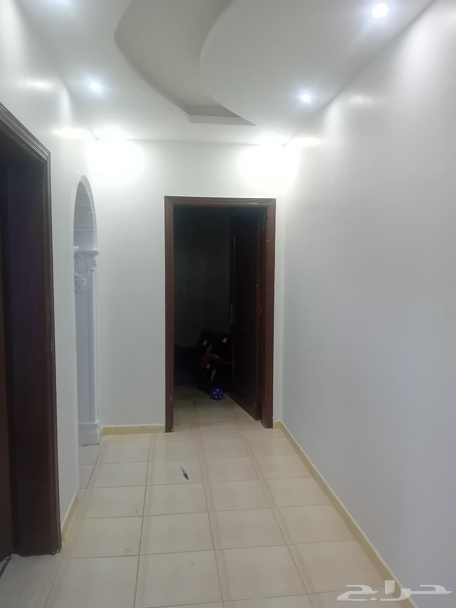 معلم دهانات المدينه المنوره64538815614465111