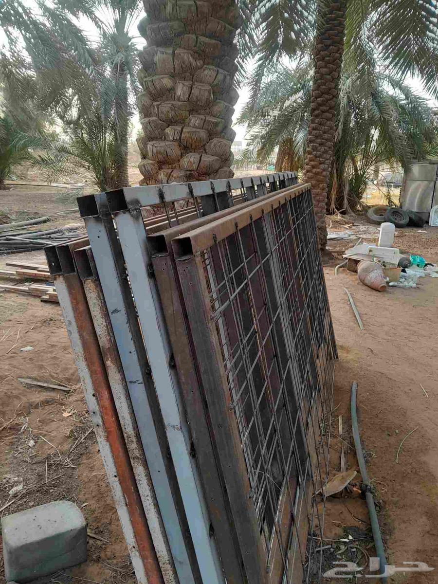 شبوك الطول 3 متر وارتفاع متر ونصف يصلحن بعارين او غنم64538674776578114