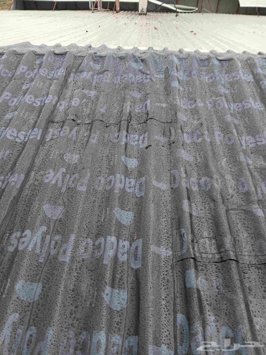 معلم عوازل علي الاسطح والهناجر والمطابخ والغرف والحمامات64538723056897112