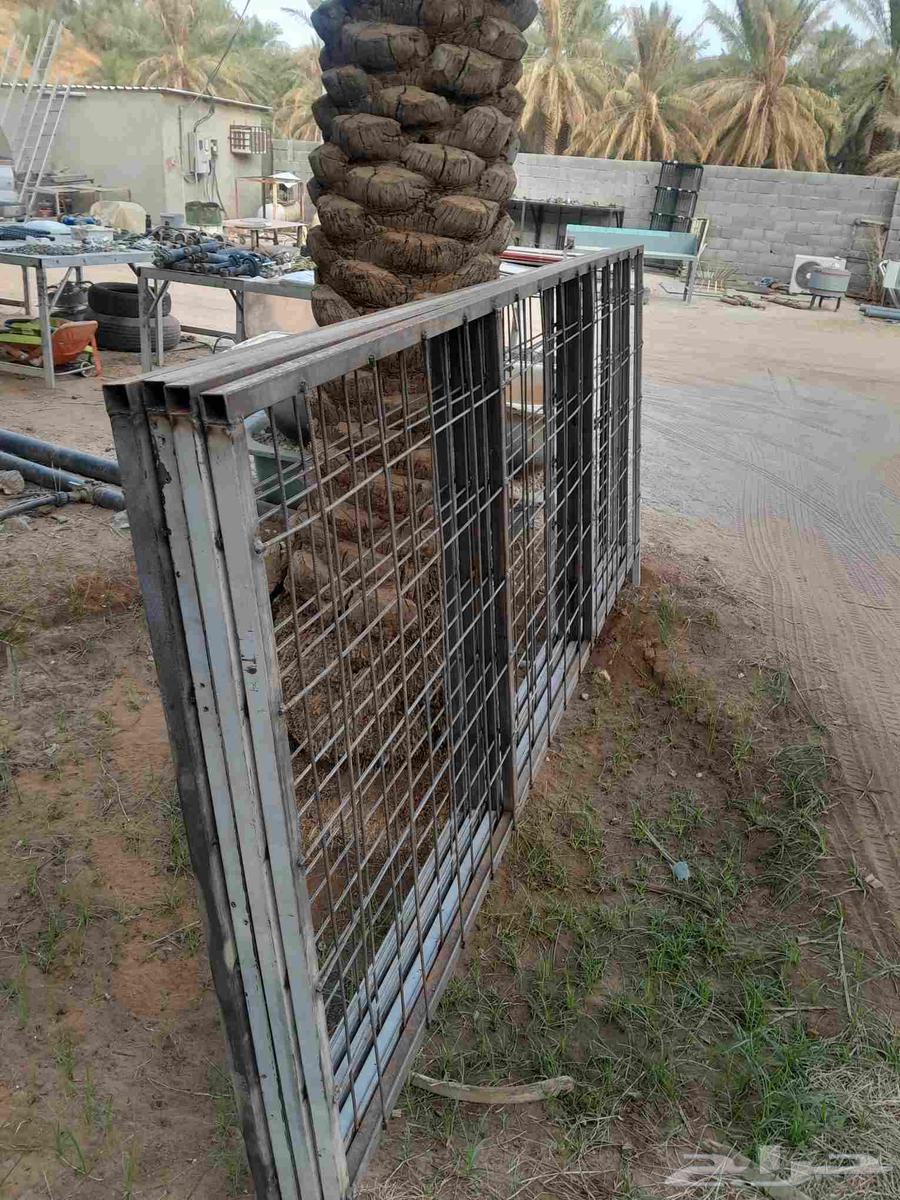 شبوك الطول 3 متر وارتفاع متر ونصف يصلحن بعارين او غنم64538674776578110