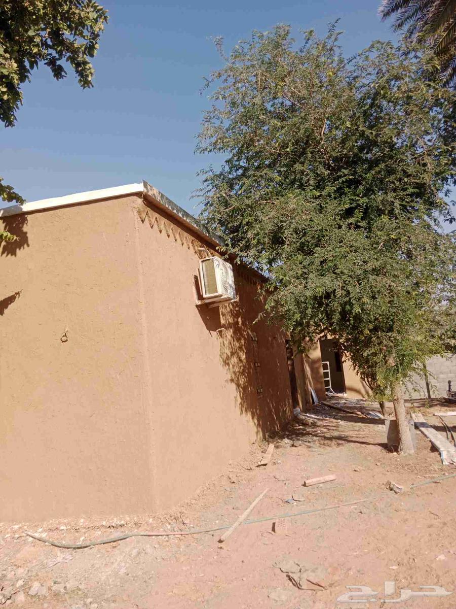 ا جميع اعمال التراث مجالس وبناء وتدوسات64545539563779113