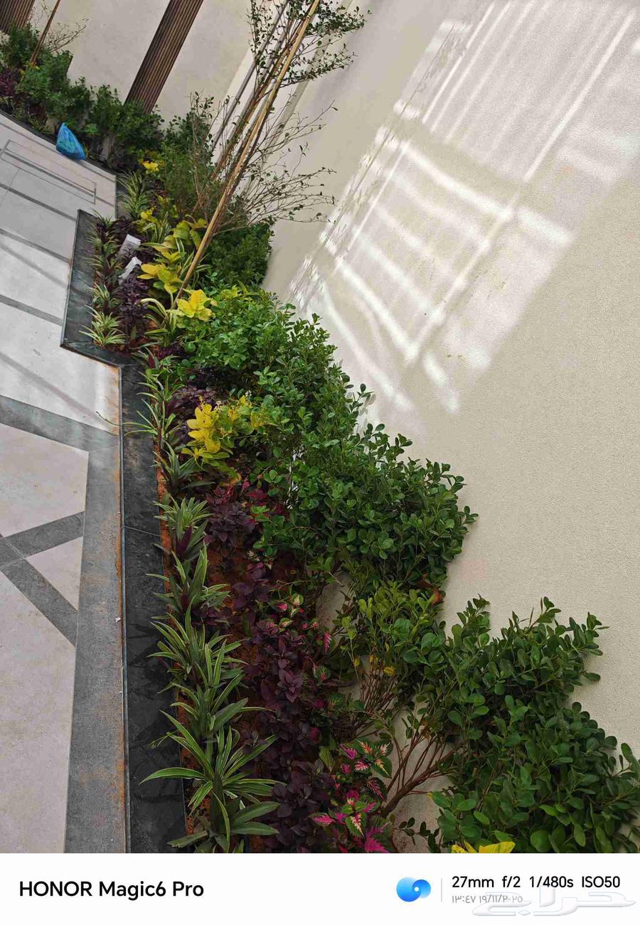 الزراعة الثيل الطبيعي وتركيب شبكات الري العادي والاتوماتيك64538816885505113