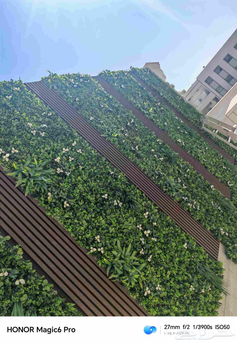 الزراعة الثيل الطبيعي وتركيب شبكات الري العادي والاتوماتيك64538816885505110