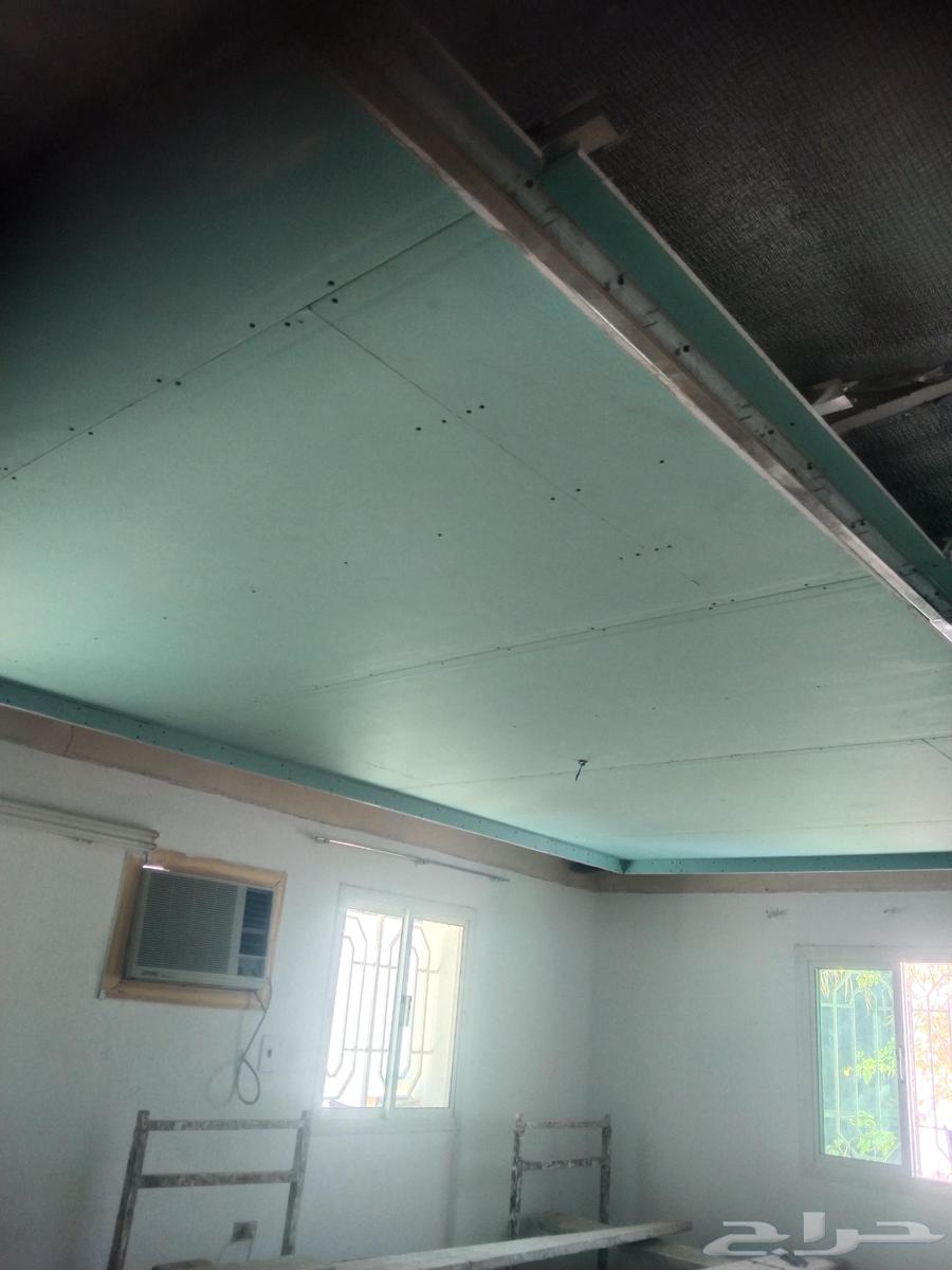 معلم جبس بلدي وجبسم بورد64538643034242113