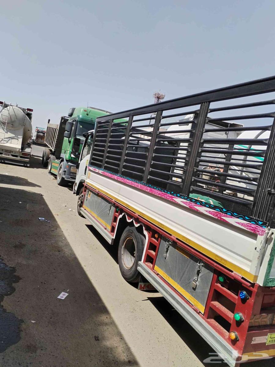 دينا نقل عفش وحلال وبضيع من خميس مشيط إلى جميع الملكه العربي64538794122113112