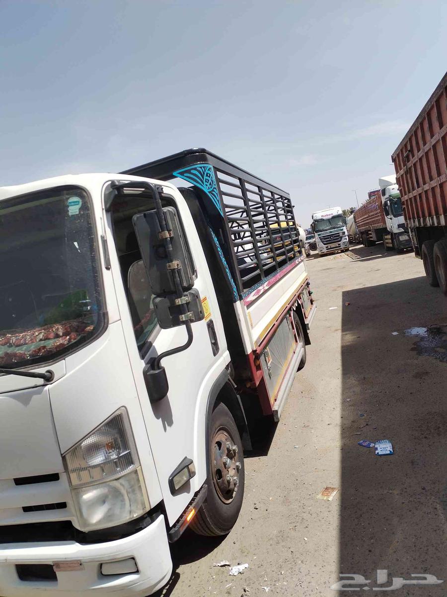 دينا نقل عفش وحلال وبضيع من خميس مشيط إلى جميع الملكه العربي64538794122113113