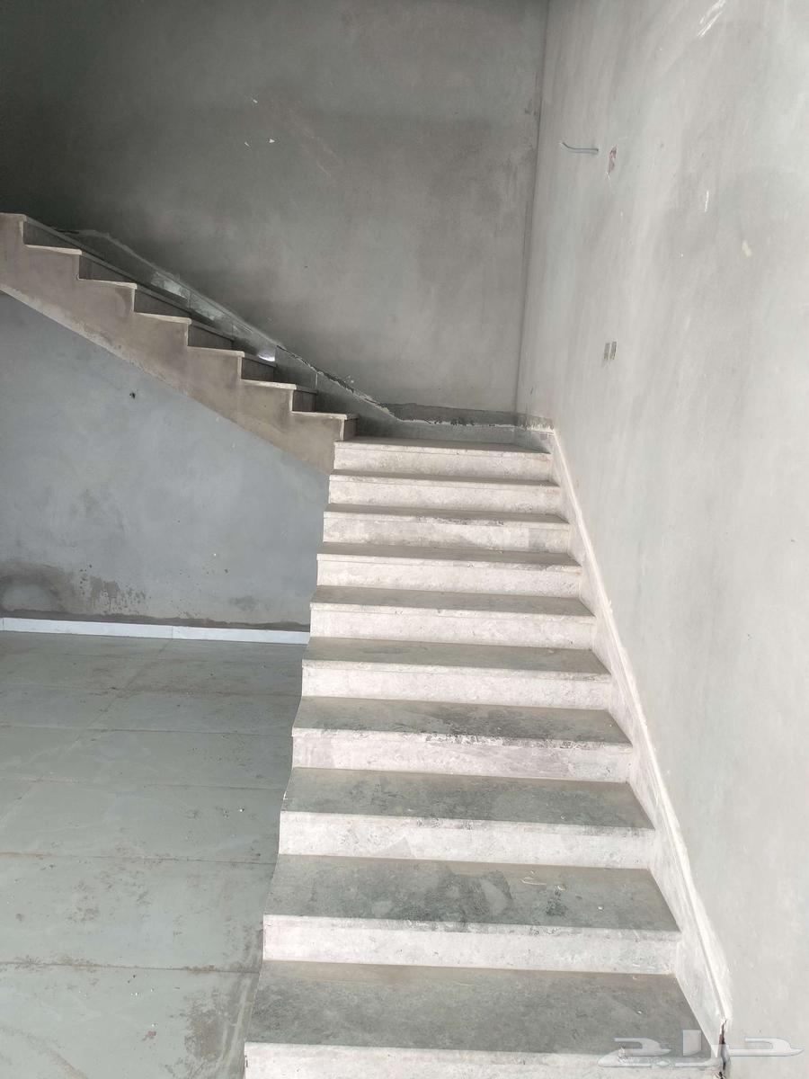 مبلط رهان تكثير64534520836609110