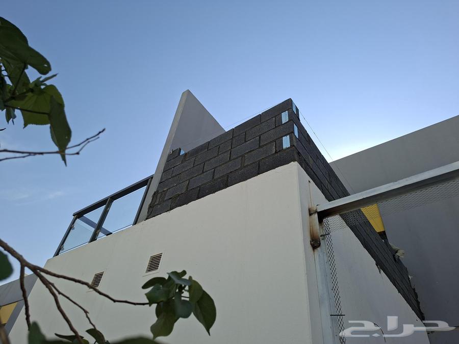 General contracting, painting, tiling, plastering, gypsum64531392762625113