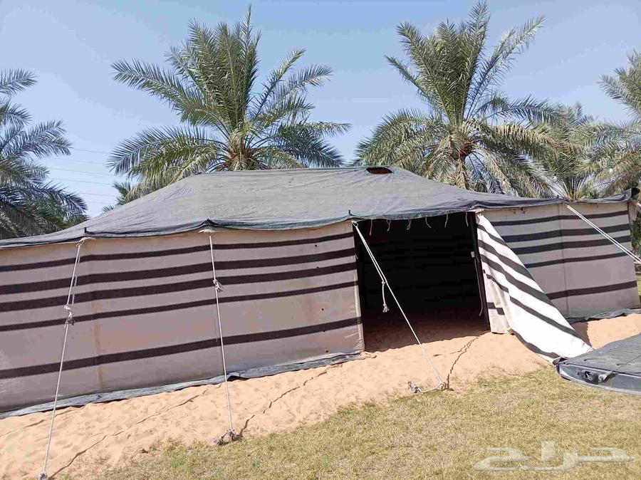 تركيب خيام وبيوت الشعر بريده القصيم64538816818819111