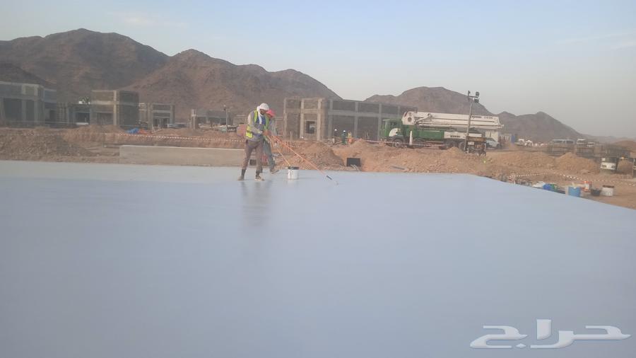 المدينه المنوره64538868291202110