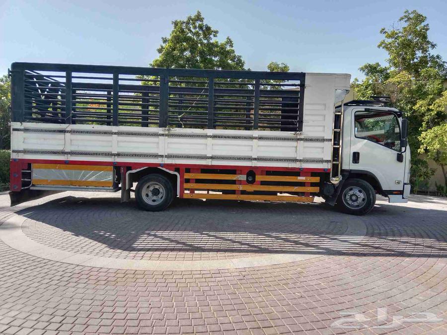 نقل عفش الخبر الدمام الأحساء الرياض64538833875203110