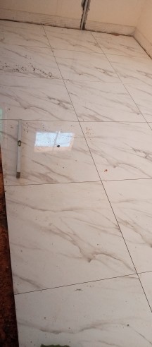 Pakistani tile layer64538762212355113