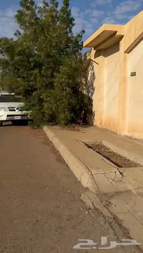 للبيع عرض سكنية مسورة في حي النهضة بمحافظة ريض الخبراء64538720920323110