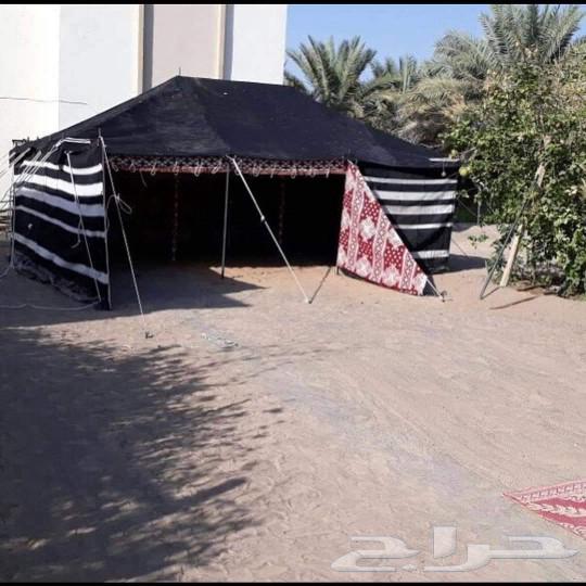 Renting tents of all sizes, greenhouses, and traditional Arab tents of all sizes64534520501122112