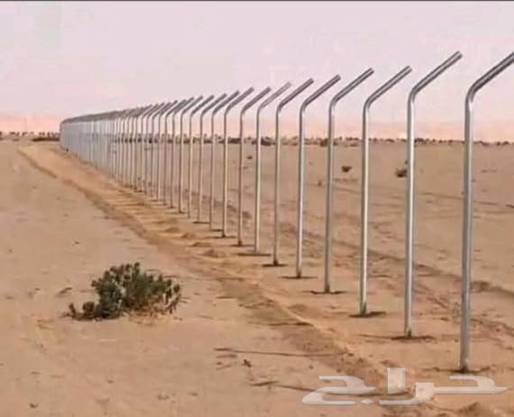 We have palm trees and farm net installation64545491495043112