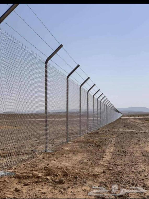 We have palm trees and farm net installation64545491495043113