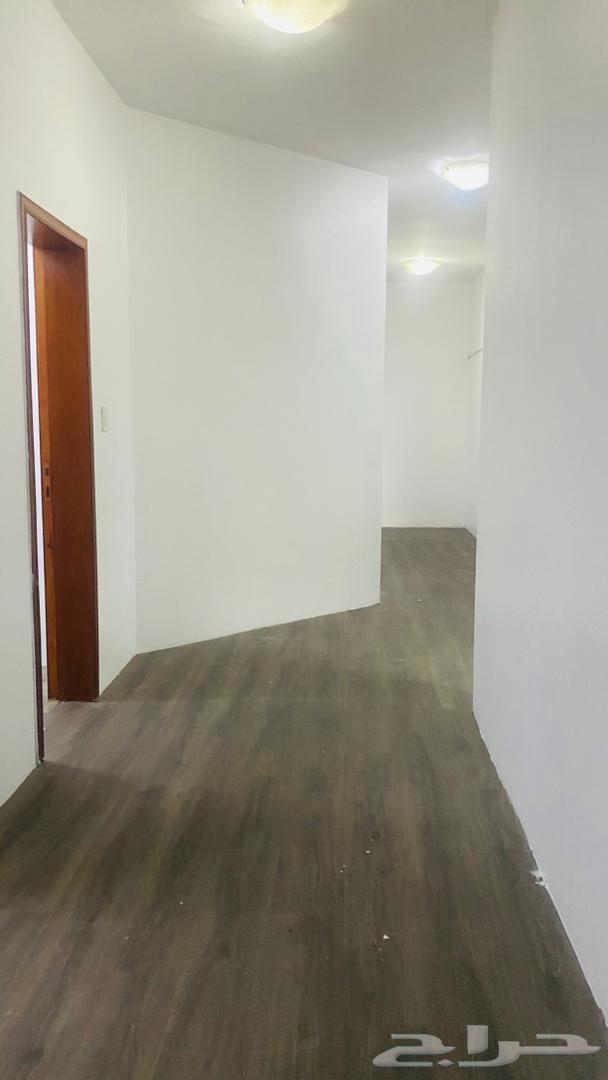 شقة للإيجار