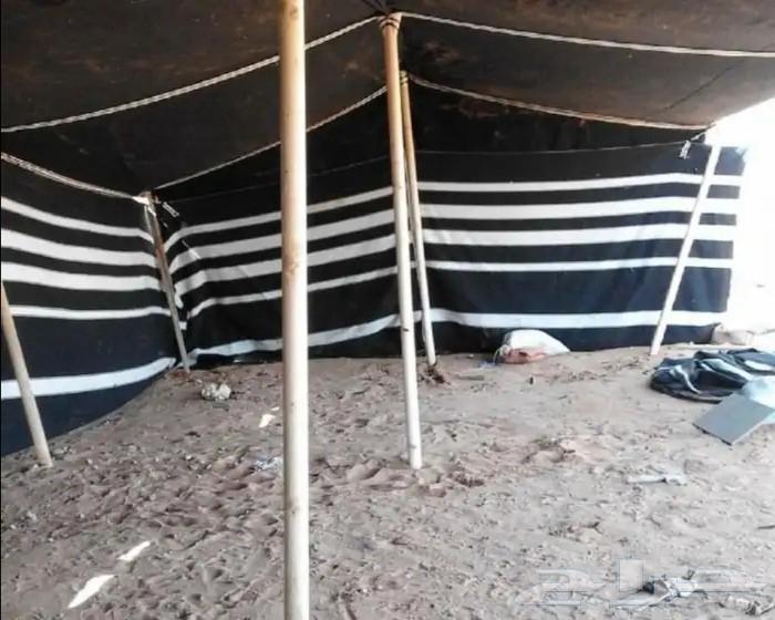 محمد لفك وتركيب وترميم جميع بيوت والخيام64538889393281110