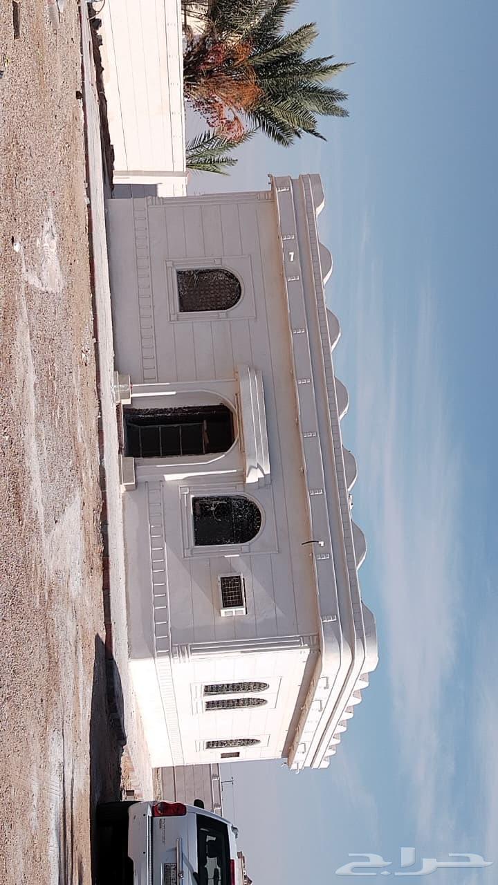 Scaffolding installation and dismantling teacher64538643313665111